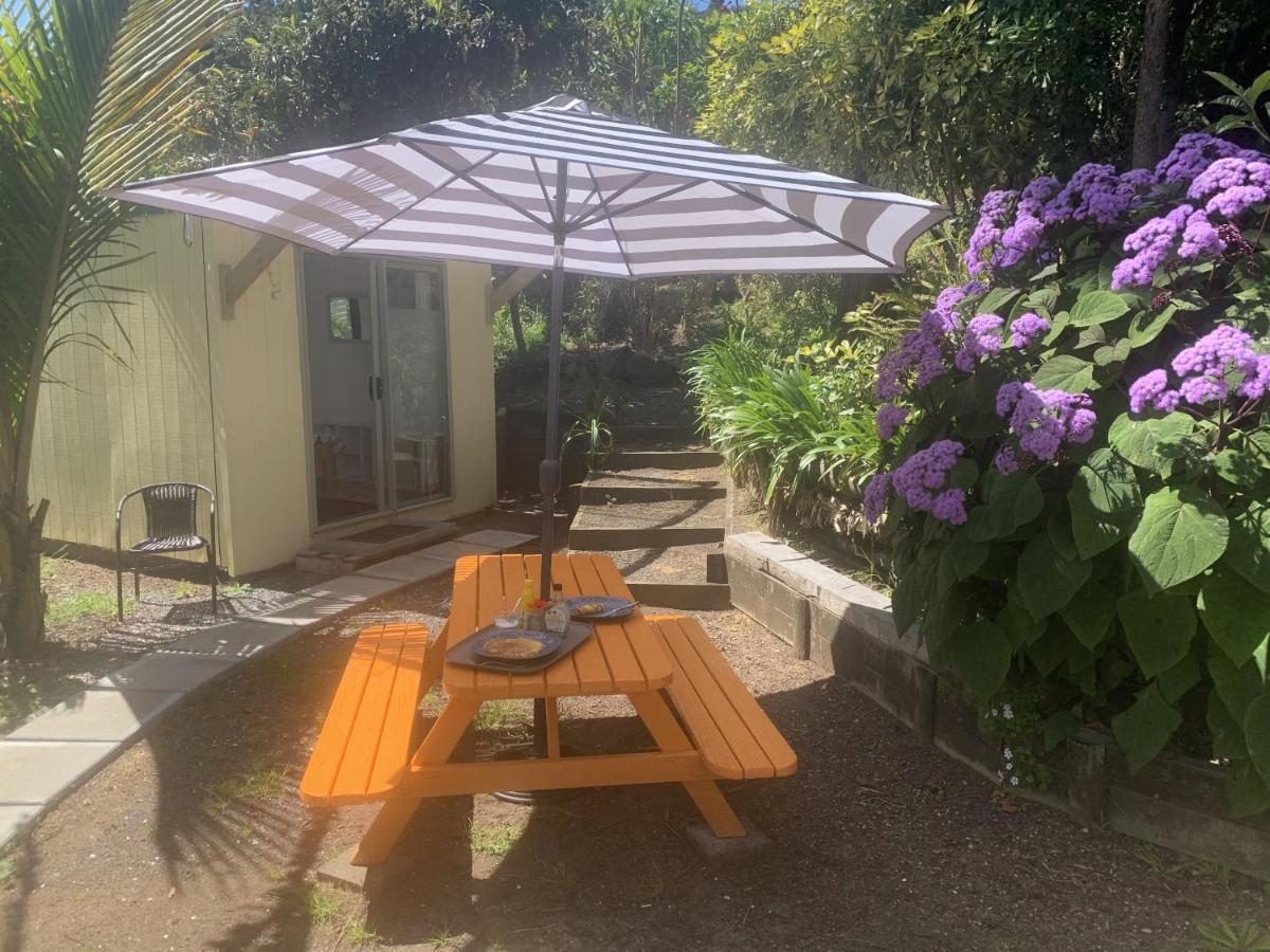 Pickled Parrot - Boutique Hostel Paihia Exterior foto